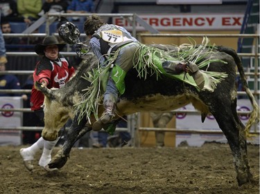Chad Hartman, of Lancer, loses his lid after his ride in the Junior steer riding event during the second night of the Canadian Cowboys Association Finals Rodeo at Canadian Western Agribition on November 25, 2015.