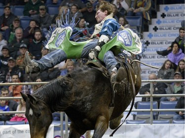 Clayton Strutt hangs on tight in the bareback event during the second night of the Canadian Cowboys Association Finals Rodeo at Canadian Western Agribition November 25, 2015.