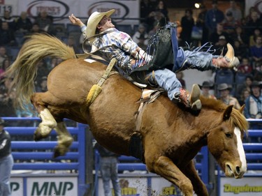 Cohen Collins hangs on tight in the bareback event during the second night of the Canadian Cowboys Association Finals Rodeo at Canadian Western Agribition November 25, 2015.