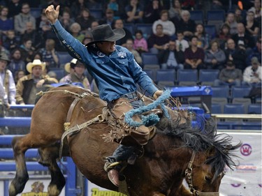 Kirk Thompson hangs on in the Saddlebronc event during the second night of the Canadian Cowboys Association Finals Rodeo at Canadian Western Agribition November 25, 2015.