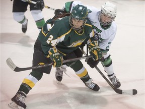 University of Regina Cougars forward Stephanie Sawchuk, shown here during a game on March 1, 2014, is hitting her stride in her fifth season.