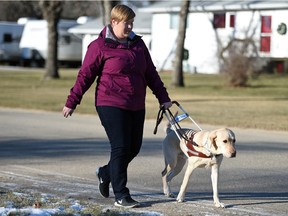 Ashley Nemeth and her service dog Rick, a two-year-old yellow lab from the Guide Dogs for the Blind, head out for a walk in Indian Head.