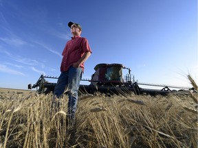 Lindsay Nobbs, a farmer, stands in his durum wheat field north of Lancer on Tuesday.  Lancer is approx. 100 km's northwest of Swift Current, Sask.