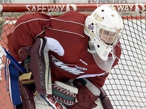 Regina Pats goaltender Tyler Brown registered his first WHL shutout Wednesday when the host Saskatoon Blades fell 5-0.