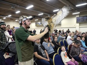 Matthew Morgan holds a red-tailed hawk at the Canadian Raptor Conservancy – Birds in Flight show held at Evraz Place in Regina on Jan. 9, 2016.