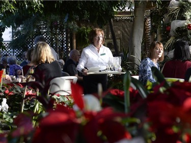 Pat Kosloski serves guests at a Holiday Cheer High Tea event held at the Regina Floral Conservatory on Sunday January 3, 2016.