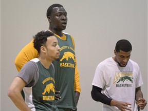 The University of Regina Cougars' newest player is Rawane (Pops) Ndiaye (middle). The 6-foot-10, 275-pound post has transferred to the U of R from the University of Tennessee.