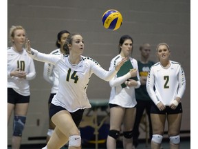Tori Glynn prepares to serve for the University of Regina Cougars women's volleyball team during a match against the University of Calgary Dinos on Thursday at the Centre for Kinesiology, Health and Sport.