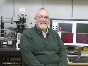 Darrell Mousseau, the Saskatchewan Research Chair in Alzheimer's Disease and Related Dementia and researcher at the University of Saskatchewan,  in his lab at the U of S campus on Jan. 15, 2016.