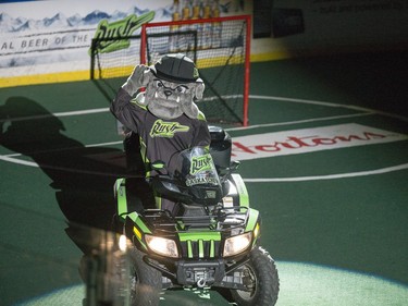 The Saskatchewan Rush mascot heads out onto the playing surface.