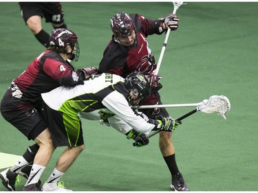 Saskatchewan Rush in action.