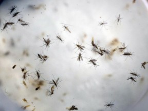 Federal and provincial health authorities have confirmed the first case of the feared Zika virus in Saskatchewan.