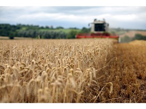 December's wholesale sales of farm inputs rose substantially over those of one year earlier, StatsCan reported Thursday.