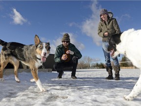 Aaron Clarke and Jamie Parker with their dogs Tucker (left) and Ninjapants.