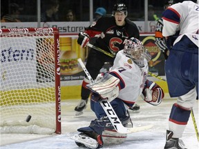 Regina Pats goalie Tyler Brown has found his rhythm while making seven consecutive starts.