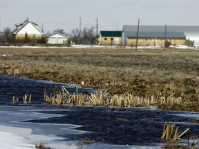 Runoff near a farmyard.