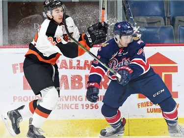 REGINA SK: FEBRUARY 05, 2016 -- Jared Freadrich (R) with the Regina Pats and Tyler Preziuso (L) with the Medicine Hat Tigers on the boards during WHL hockey action at the Brandt Centre in Regina on February 05, 2016.
