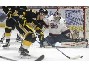 The puck gets away from Brandon Wheat Kings defenceman Ivan Provorov, 9, while Regina Pats goalie Tyler Brown covers the net Saturday at the Brandt Centre.