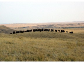 Are we paying enough attention to preserving Saskatchewan's rich natural heritage, including its grasslands?
