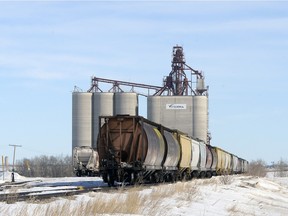 Grain cars are lined up at the sidings at the Viterra grain terminal east of Pilot Butte. A coalition of Saskatchewan producer groups is disappointed in some of the recommendations of the CTA review report tabled last month.