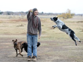 Derek Marin and his dog Noah at the Cathy Lauritsen Memorial Off-Leash Dog Park in Regina on Oct 27, 2014.  The other two dogs are Rex (L) and Posey (R).