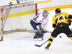 Tim McGauley of the Brandon Wheat Kings goes after a loose puck in front of Regina Pats goalie Tyler Brown during Saturday's WHL game at Westman Place.