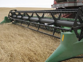 A combine harvester harvests canary seed at the farm of Kevin Hursh near Cabri, northwest of Swift Current.