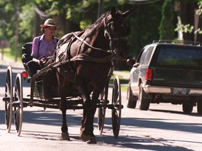 A horse and buggy heads down down a street in Milverton, Ontario.
