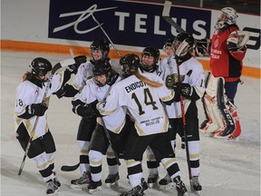 Weyburn Gold Wings players celebrate a goal against Metro Boston Pizza in Esso Cup action Wednesday at Crescent Point Place.