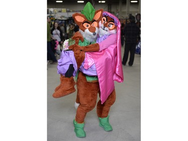 Mike Schmidt as Robin Hood and Deborah Mathias as Maid Marian at Fan Expo Regina held at Canada Centre in Regina, Sask. on Saturday April. 23, 2016.