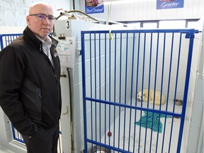 Bill Thorn of the Regina Humane Society beside one of the dogs that was recently seized from a Riceton-area farm.