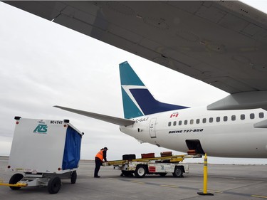 WestJet planes on the tarmac at Regina International Airport on Wednesday.