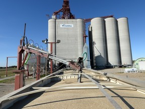 A semi with a load of canary seeds at the Viterra terminal at Balgonie. Grain Services Union and Viterra announced a tentative agreement  covering more than 500 employees on Monday.