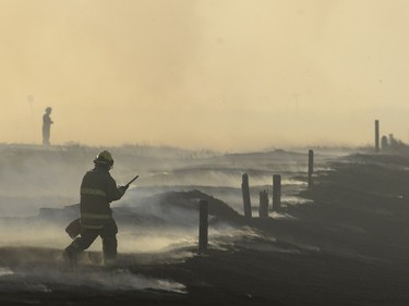 Regina Fire and Protective Services including both Wildlands units as well as a water tanker were called to a grass fire near the Condie nature Reserve northwest of Regina Wednesday evening.