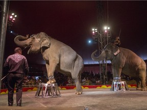Erika Zerbini and Dwayne Brake perform with elephants during the Shrine Circus in Saskatoon in June , 2015.