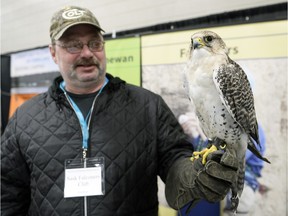 Stan sits on the glove of his owner Ron Hannant at the Saskatchewan Falconers Club booth at the Regina Outdoor Sports Show held at Evraz Place in Regina on Sunday April 3, 2016.