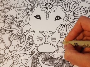 Regina resident Angela Tremka created a colouring book for adults, released in December, that is beginning to sell well throughout the city.