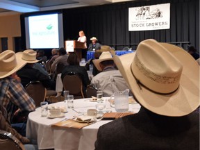 Now is not the best time for expanding Canadian cattle herds, forecaster Anne Wasko told the Saskatchewan Stock Growers Association on Monday.