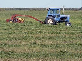 Lyle Haman cuts alfalfa north of Regina recently.He is hoping that if all goes well the crop might yield a second cut later in the year.  BRYAN SCHLOSSER/Regina Leader Post
