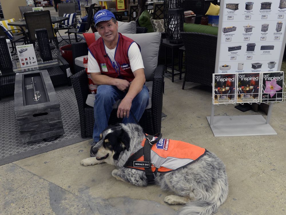 'They treat me like I’m normal' Man and service dog get gig at Regina