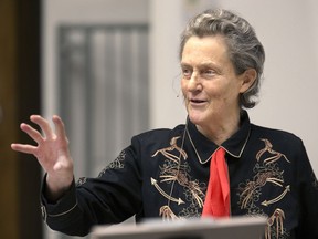 Temple Grandin, a well known American professor of animal science and autism advocate will be giving two talks this weekend in Regina on autism and stockmanship.