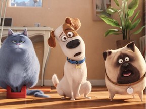 Fat cat Chloe, pampered terrier mix Max, and excitable pug Mel are featured in The Secret Life of Pets.