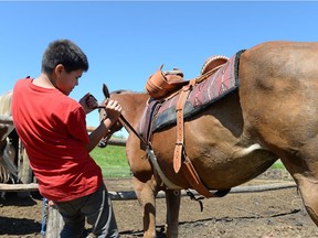 Haydar Cappo saddles a horse at Spirit Horse Camp held at Muscowpetung Saulteaux First Nation - one of two horse programs offered by Kamao Cappo owner of Eagle Brothers Ranch.
