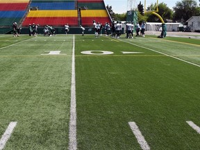 The City of Regina says it's had no problems with the FieldTurf in Mosaic Stadium for 10 years — the same product going into New Mosaic Stadium.