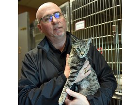 Bill Thorn of the Regina Humane Society with Shakira, a domestic shorthair cat. Thorn said the province's animal laws leave a lot to be desired, after a new report ranked the province 11th of 13 in terms of legal animal protections.