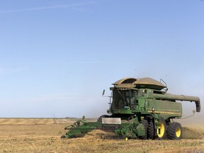 A farmer harvesting the crop near Saskatoon last fall.