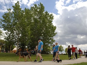 A.E. Wilson park trees provide a backdrop as people participate in Gutsy Walk for Crohn's and Colitis held in June, 2013.