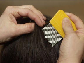 A lice comb is one of the tools used to get rid of lice.