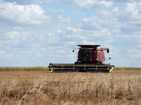 Recent wet weather has some combines sitting idle, like this one about 10 km southeast of Regina on Thursday.  Across the province, harvest is nine cent complete, on par with the five and 10-year average, according to the weekly crop report.