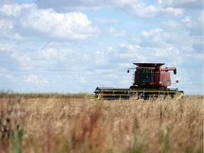 While Statistics Canada says Saskatchewan producers could harvest a 33.6-million tonne crop  this year -- second-largest in history -- you don't hear a lot of cheering in farm country.
L-P business columnist Bruce Johnstone wonders why.
